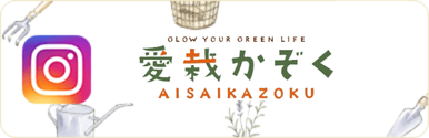 愛栽かぞくオンラインショップInstagram